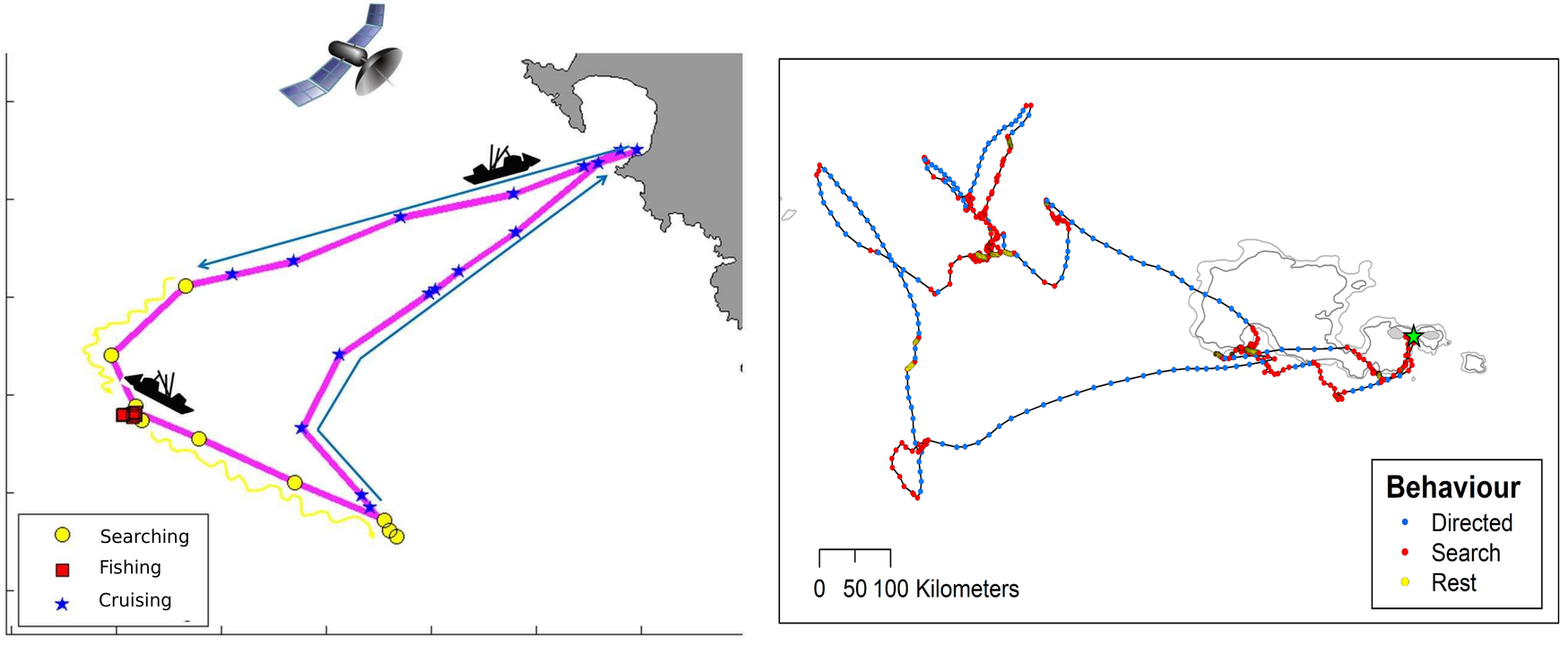 On the left panel, a track of a fishing vessel. The shapes and colors of the geolocated points correspond to different activities: blue stars for cruising, yellow circles for searching, and red squares for fishing. On the right panel, a track of a wandering albatross. The colors of the geolocated points correspond to different activities: blue for directed behavior, red for searching and yellow for resting.