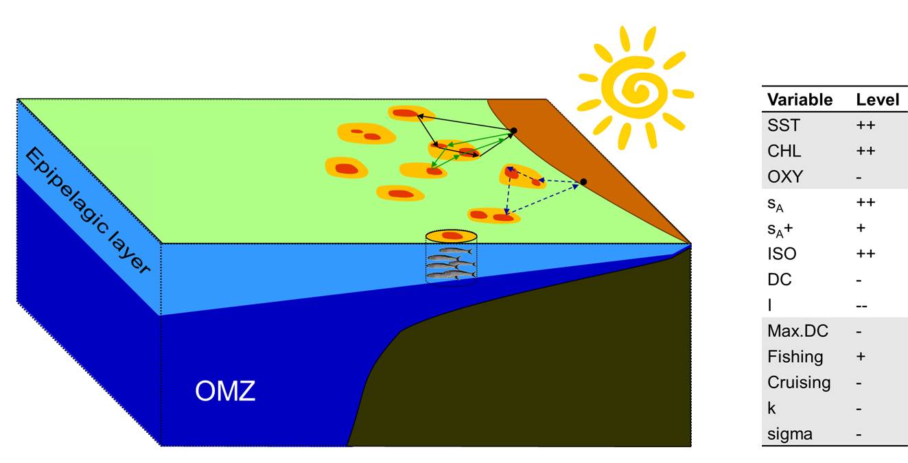 A schematic 3D representation of an ecological scenario for different components of the ecosystem: the sea surface temperature and chlorophyll levels are high, while the oxycline is superficial, then fish are abundant and aggregated close to the surface, and fishing vessel don't go far from the coast, fishers spend more time fishing than cruising and they also show low dispersion.